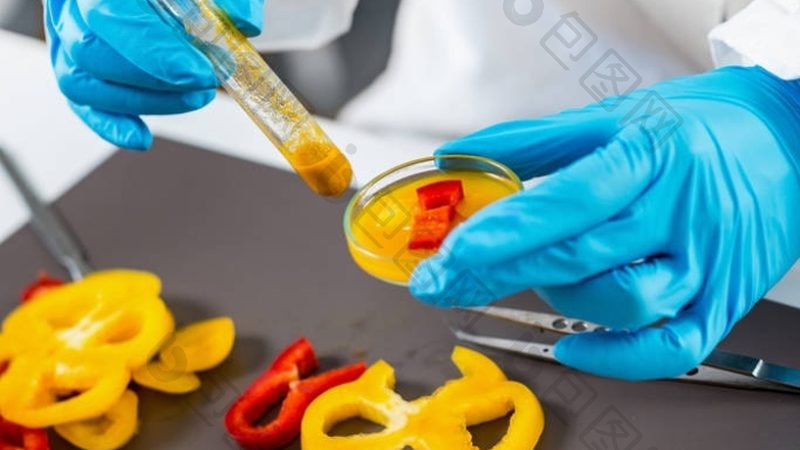 速冻食品上市公司财报中的关键指标解读